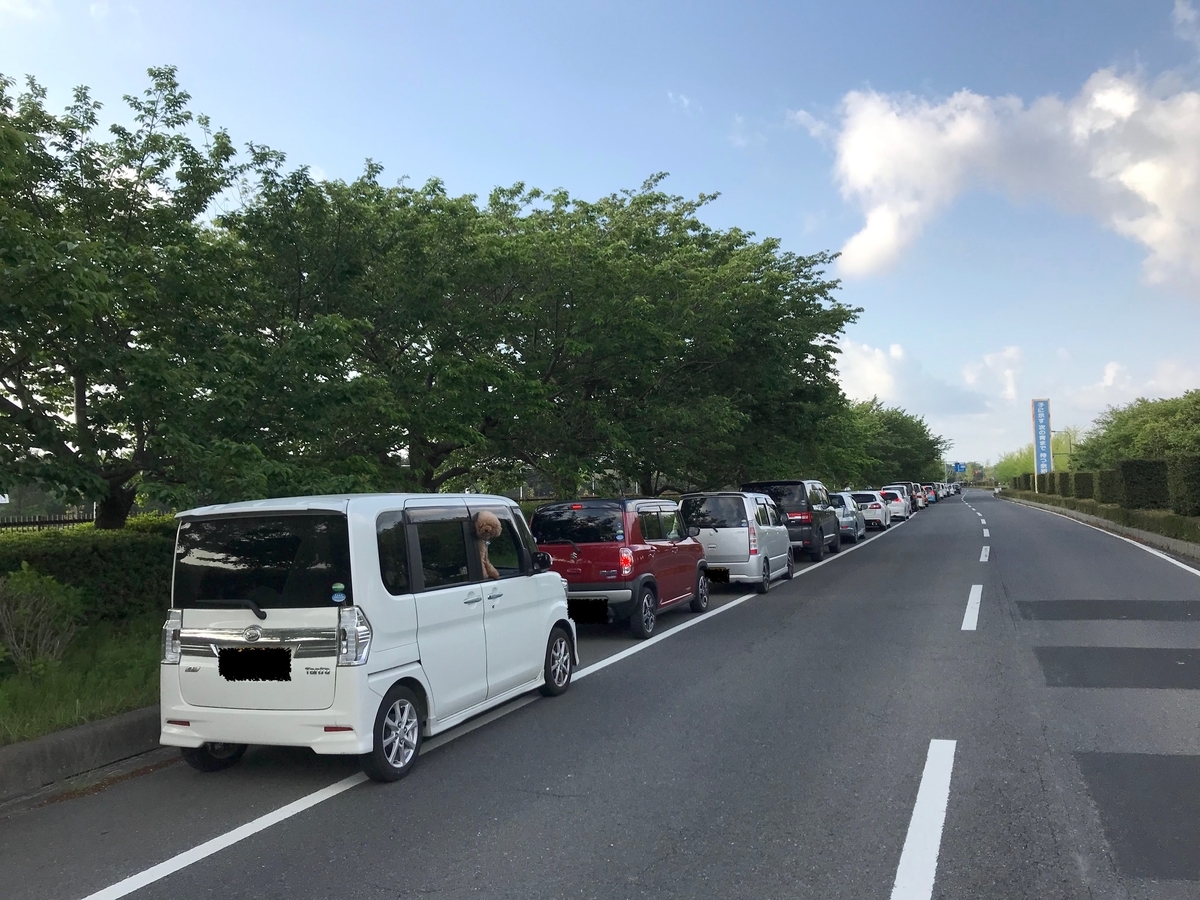 f:id:tatsumo77:20190515220316j:plain