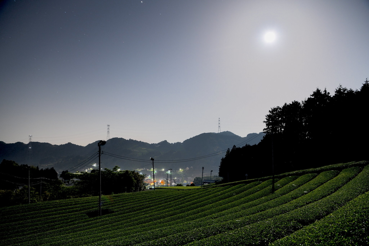 f:id:tatsumo77:20190906161818j:plain