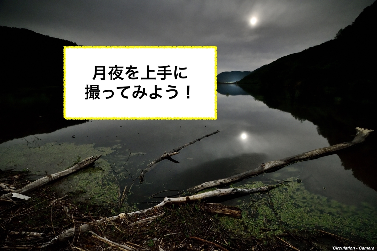 f:id:tatsumo77:20190907165223j:plain