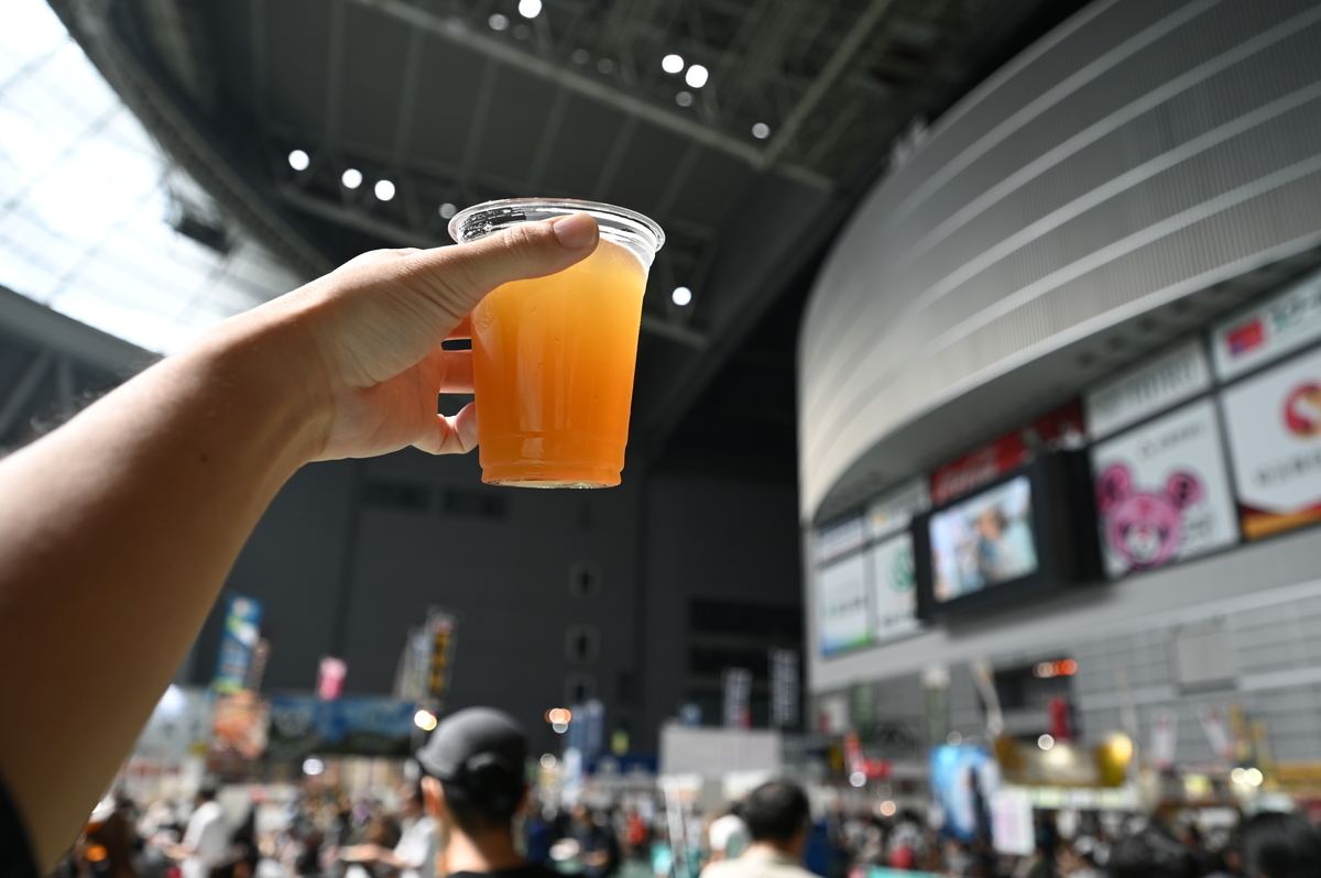 f:id:tatsumo77:20190919082134j:plain