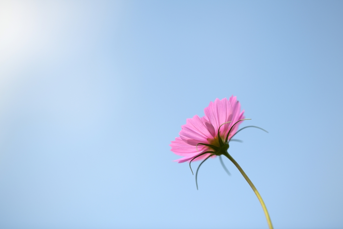 f:id:tatsumo77:20190919085434j:plain