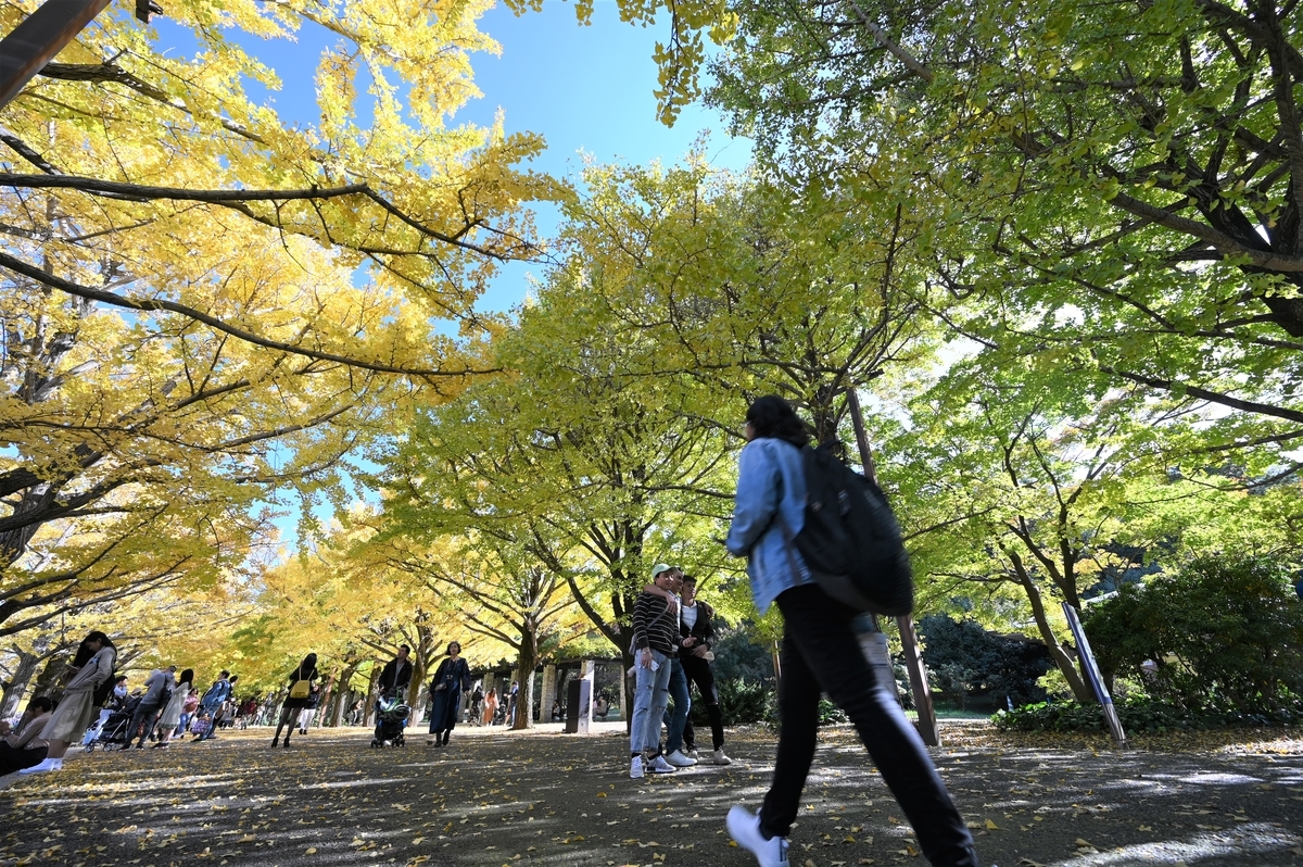f:id:tatsumo77:20191120012328j:plain
