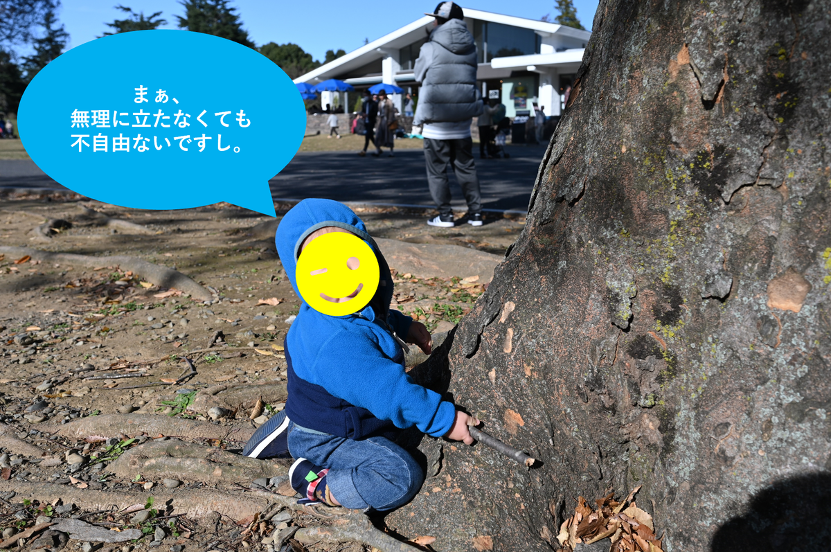 f:id:tatsumo77:20191120013409p:plain