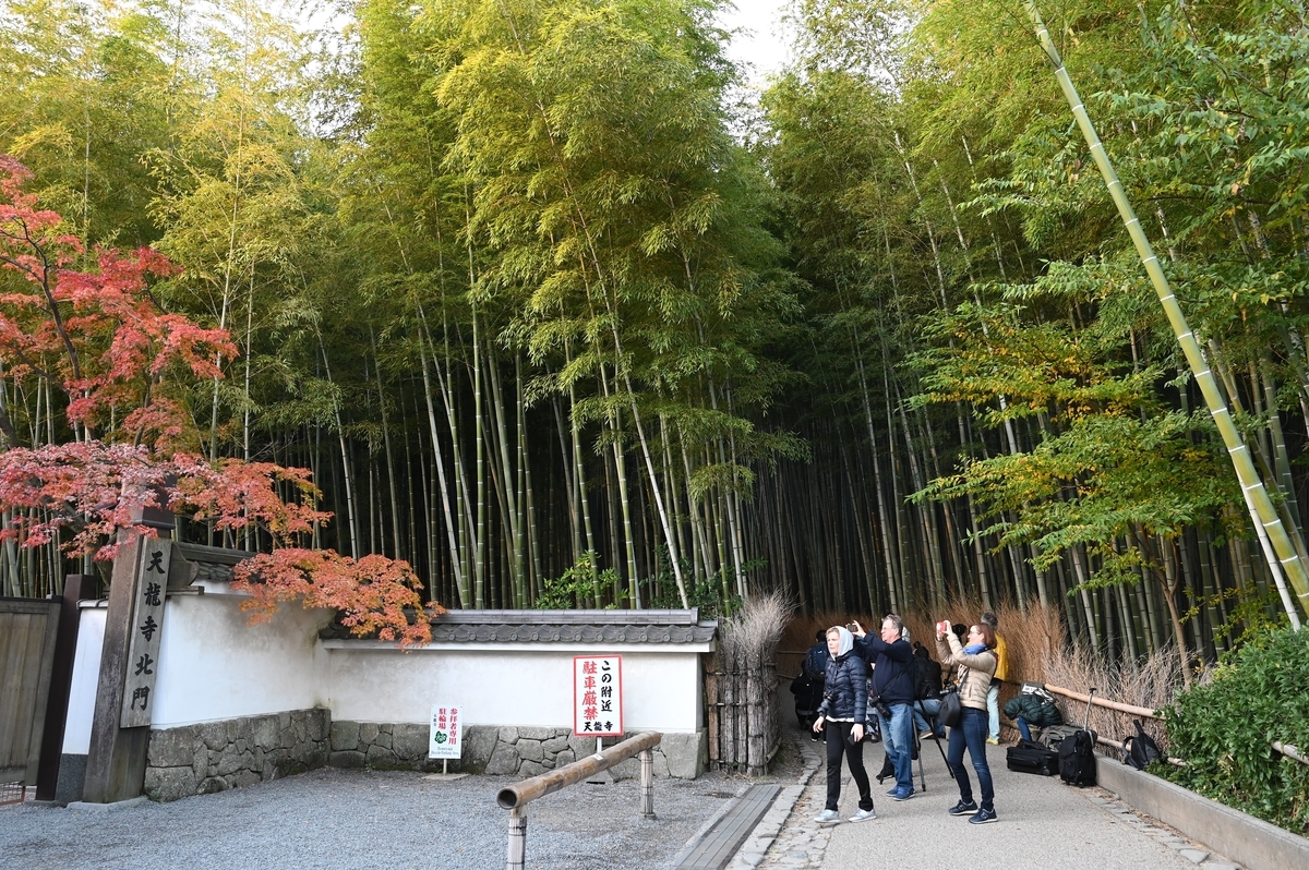 f:id:tatsumo77:20191201173539j:plain