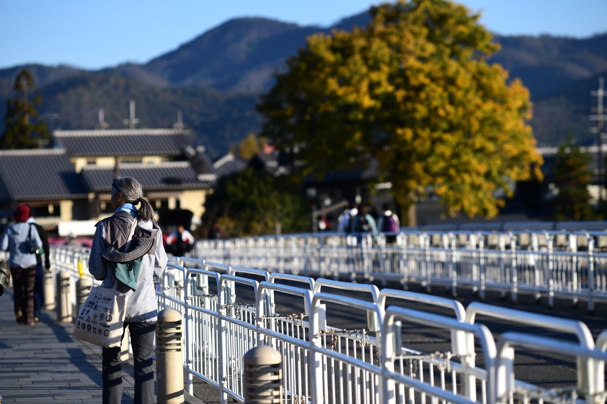 f:id:tatsumo77:20191201174303j:plain
