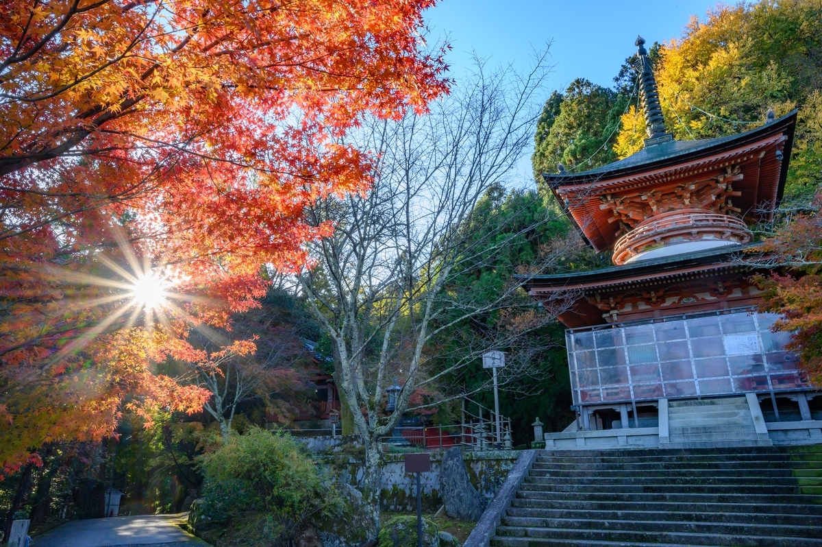 f:id:tatsumo77:20191201174429j:plain