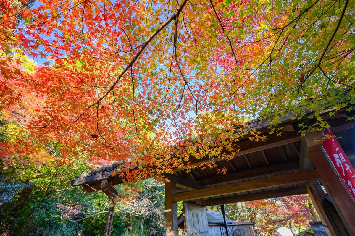 f:id:tatsumo77:20191201174515j:plain