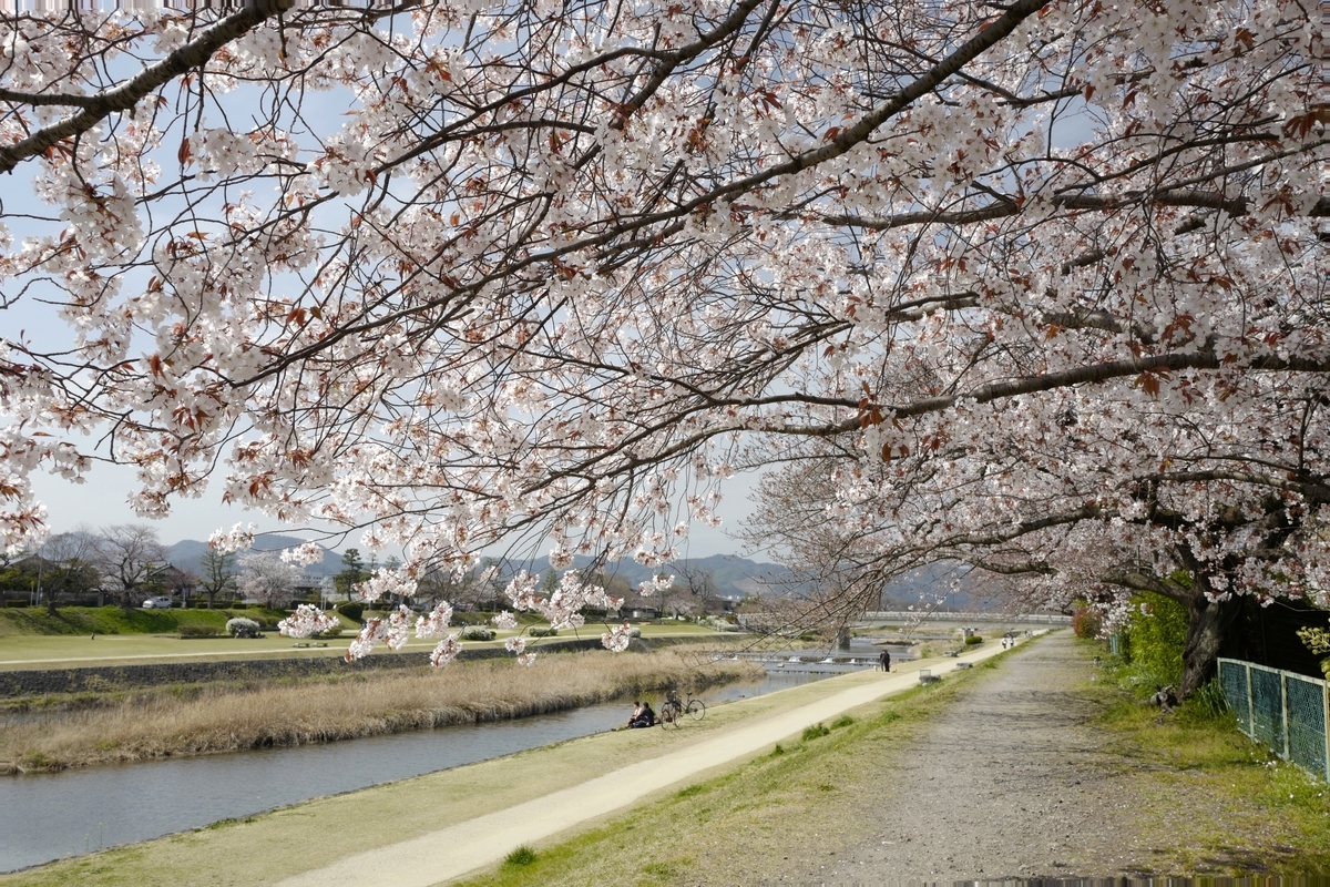 f:id:tatsumo77:20200409083532j:plain