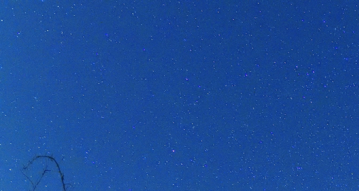 f:id:tatsumo77:20200507153743j:plain