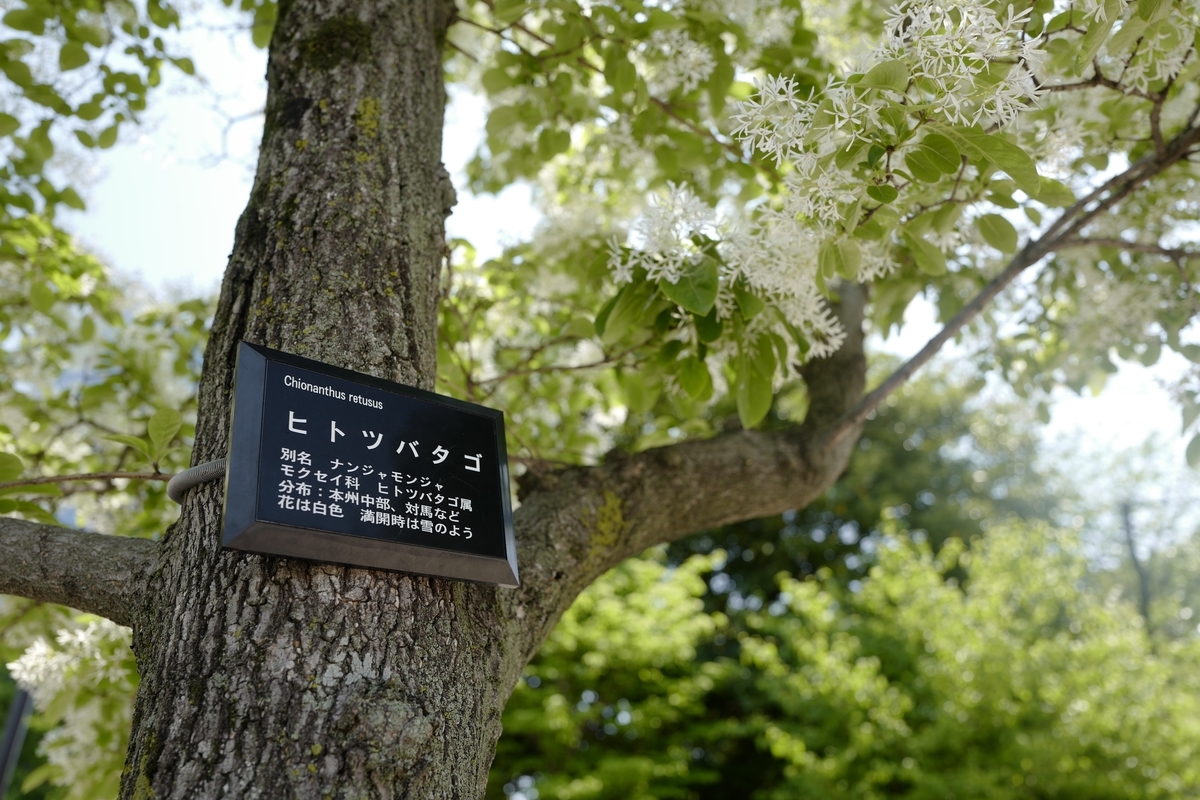f:id:tatsumo77:20200524121906j:plain f:id:tatsumo77:20200524121906j:plain