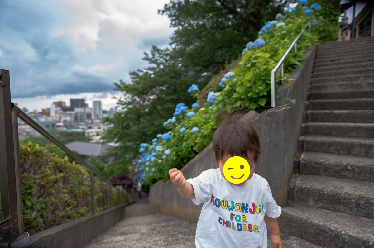 f:id:tatsumo77:20200614062333p:plain