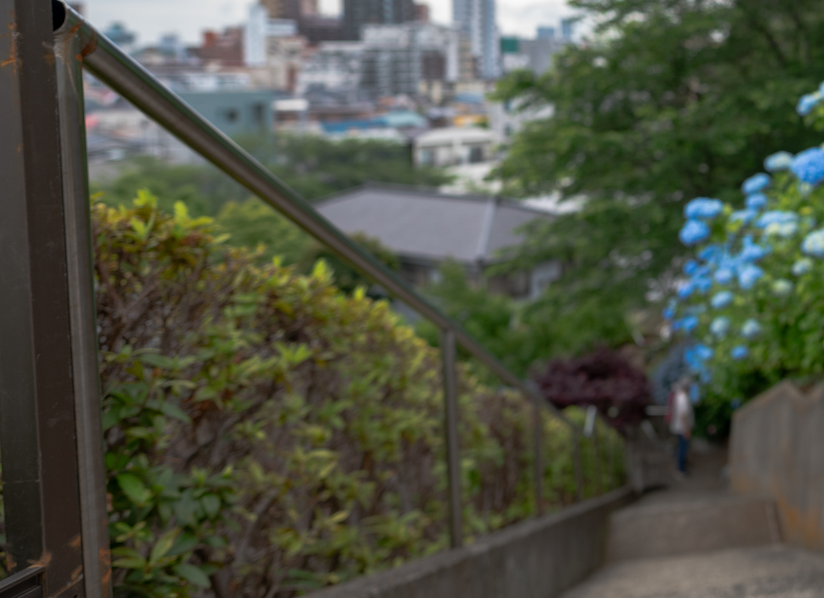 f:id:tatsumo77:20200618201041j:plain