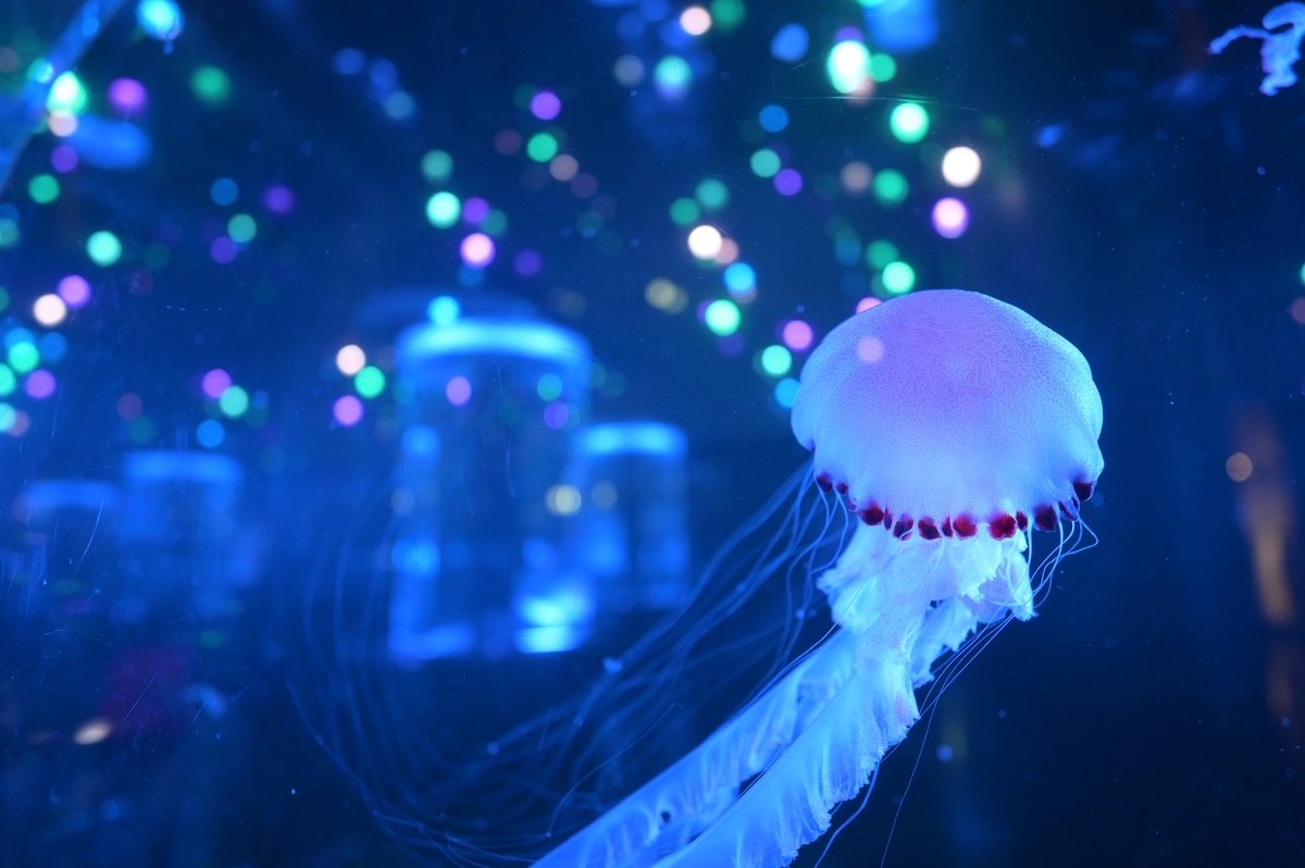 f:id:tatsumo77:20200618202748j:plain