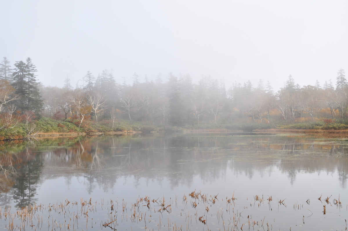 f:id:tatsumo77:20200718141338j:plain