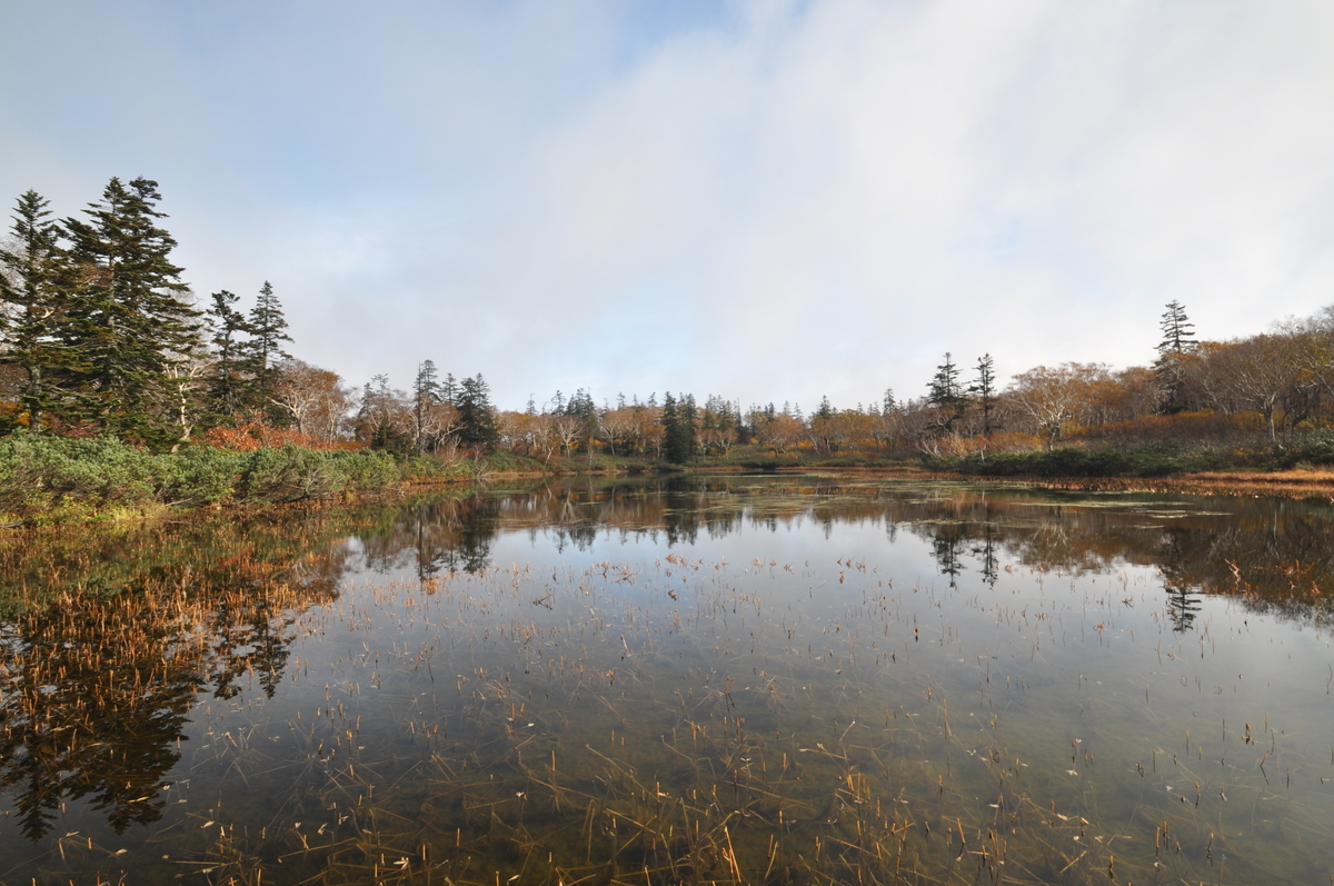 f:id:tatsumo77:20200718141613j:plain