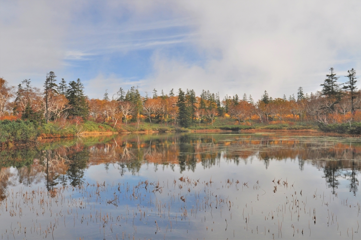 f:id:tatsumo77:20200718142708j:plain