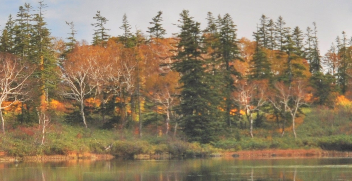 f:id:tatsumo77:20200724065834p:plain