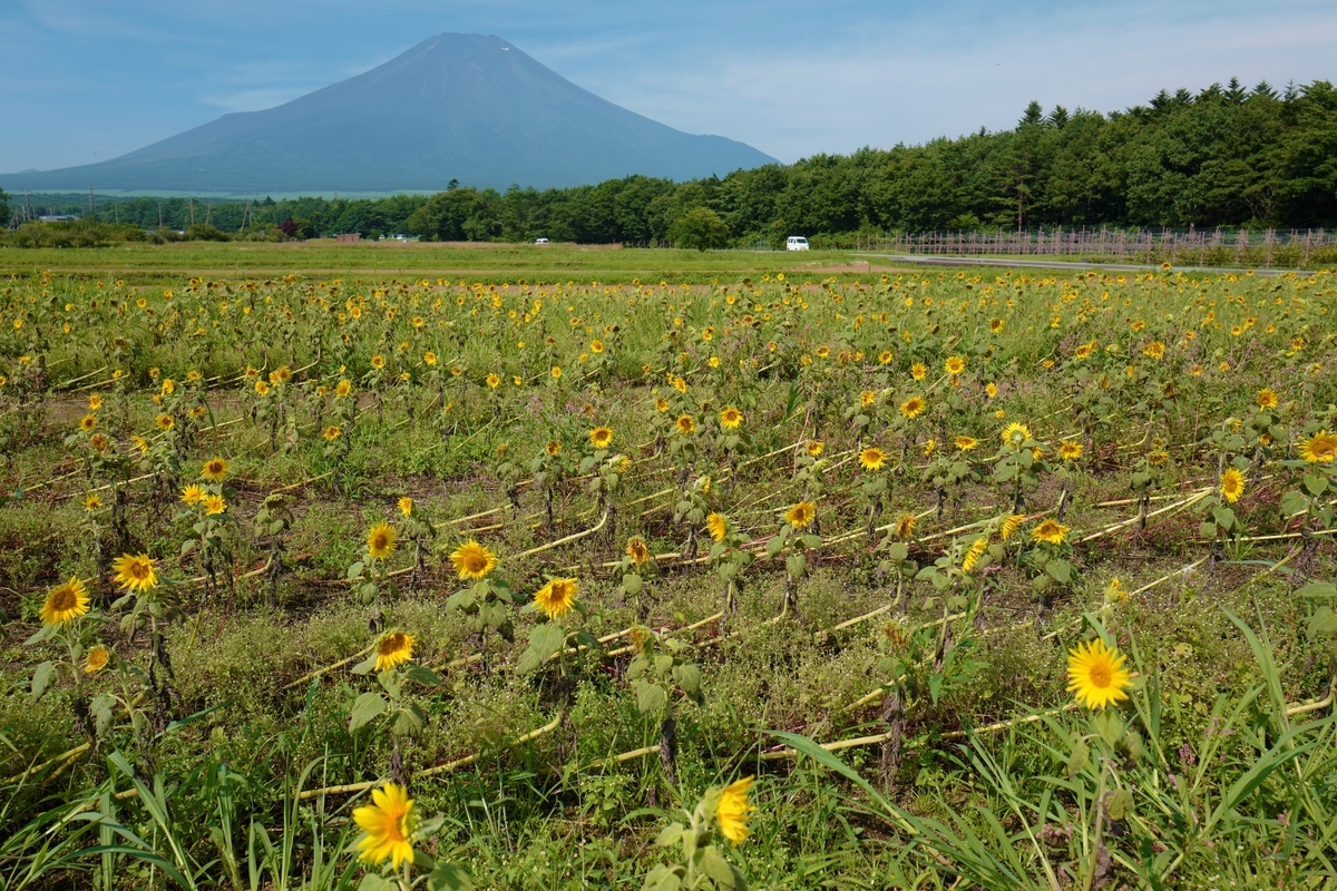 f:id:tatsumo77:20200818190940j:plain