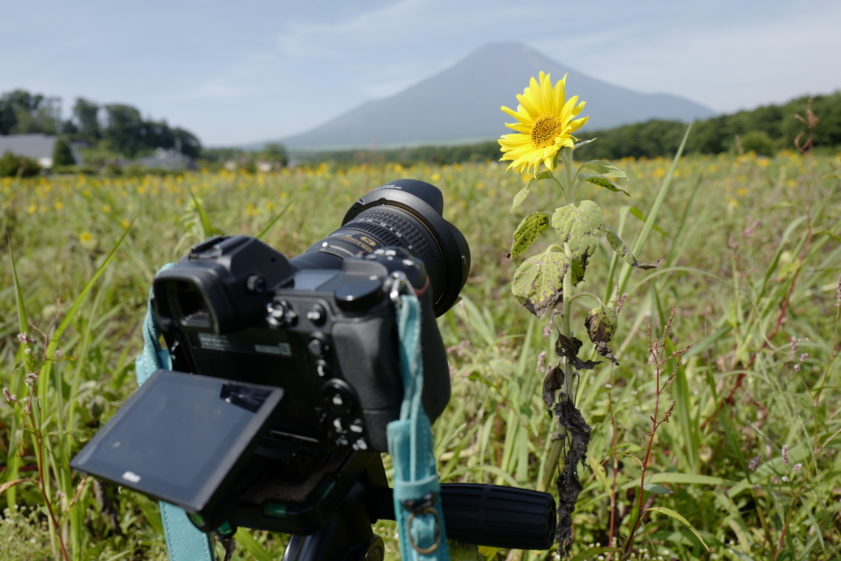 f:id:tatsumo77:20200818191122j:plain