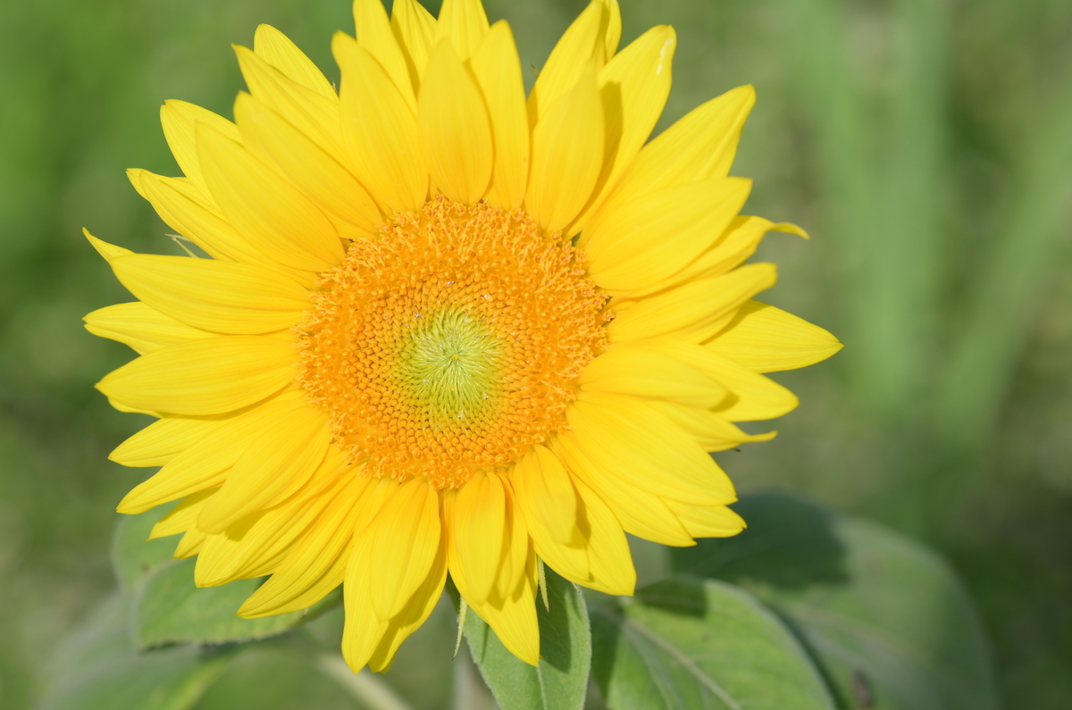 f:id:tatsumo77:20200820205316j:plain