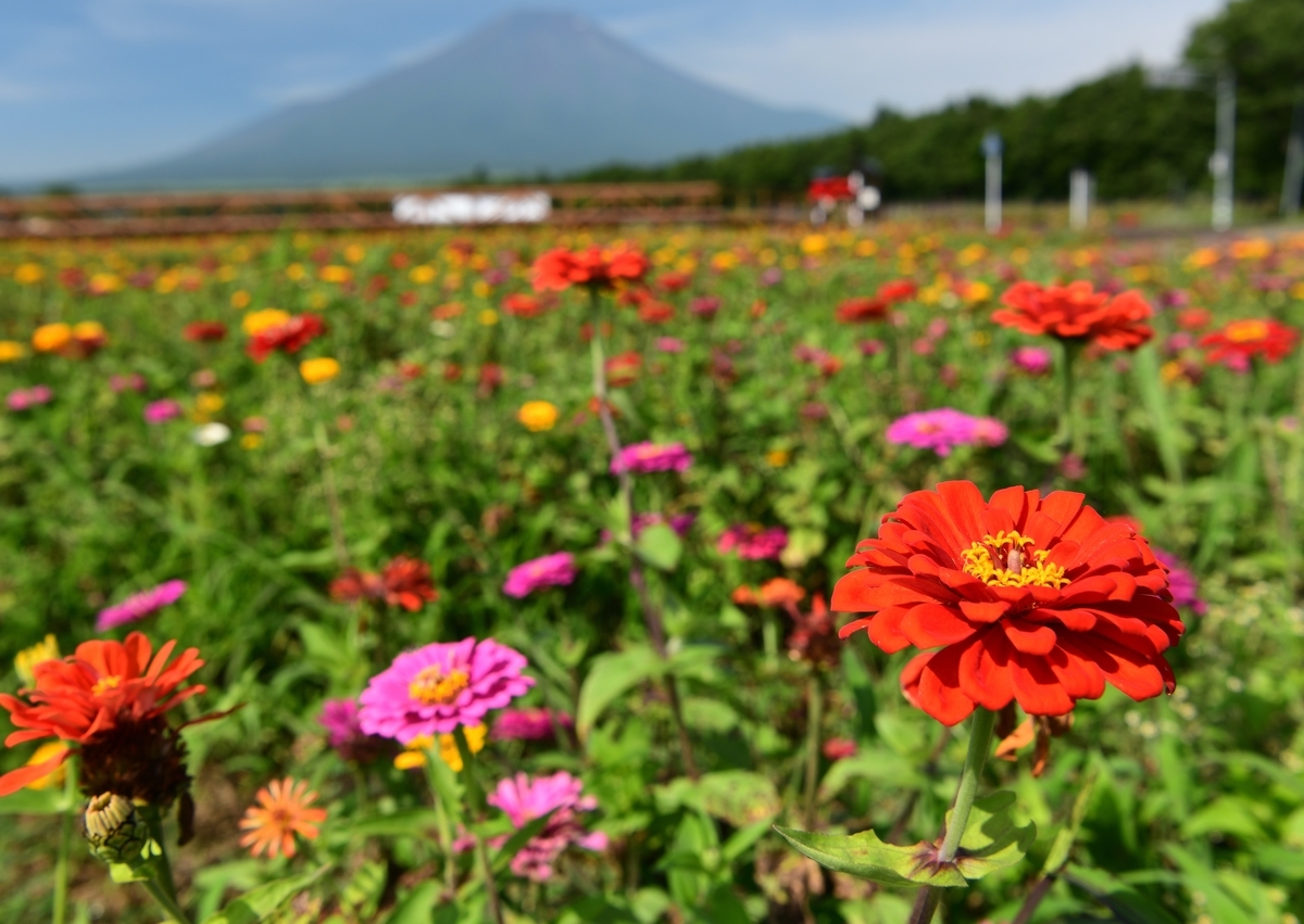 f:id:tatsumo77:20200820210122j:plain