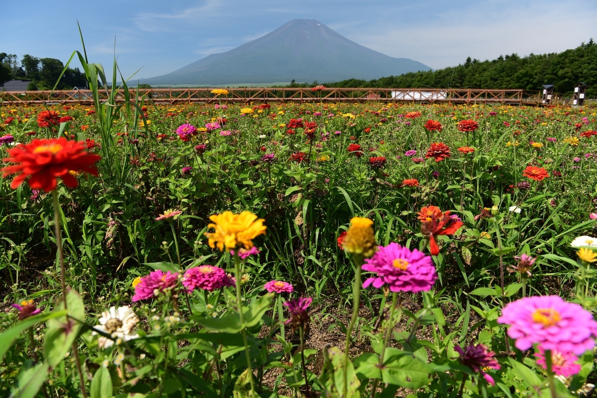 f:id:tatsumo77:20200922144648j:plain f:id:tatsumo77:20200922144648j:plain