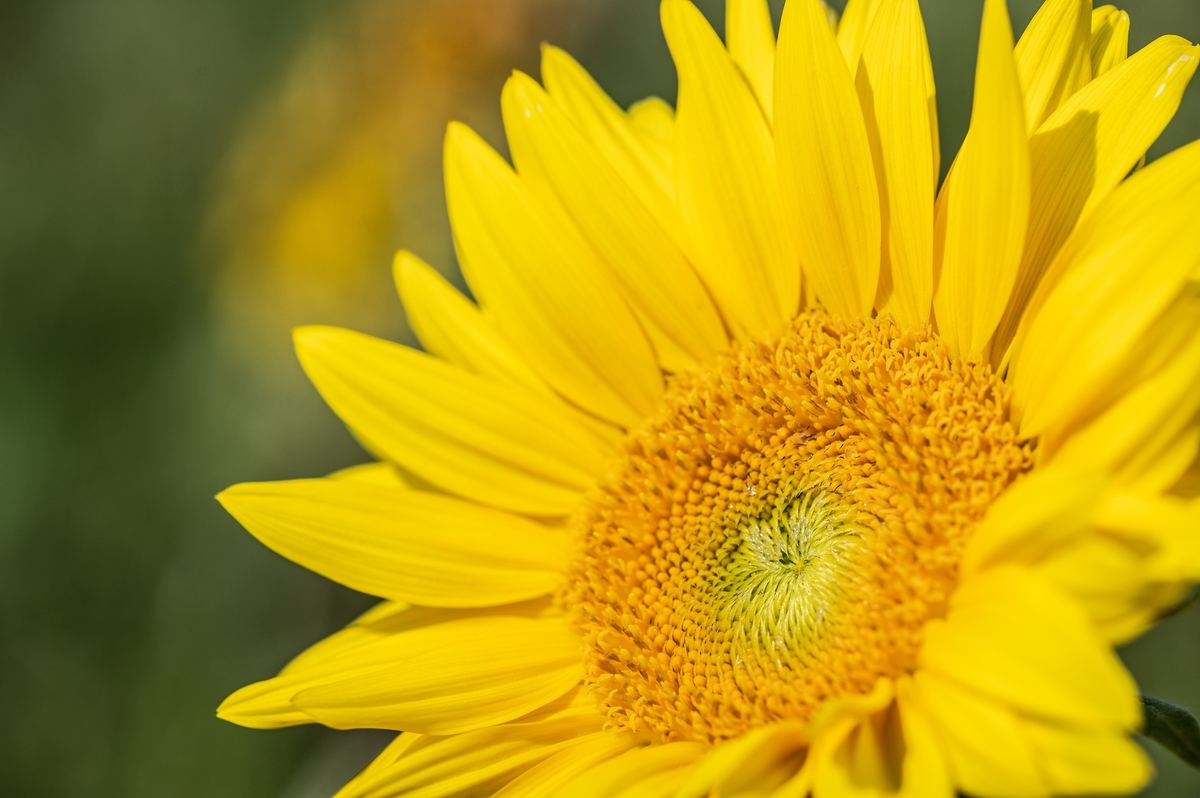 f:id:tatsumo77:20200922151840j:plain f:id:tatsumo77:20200922151840j:plain