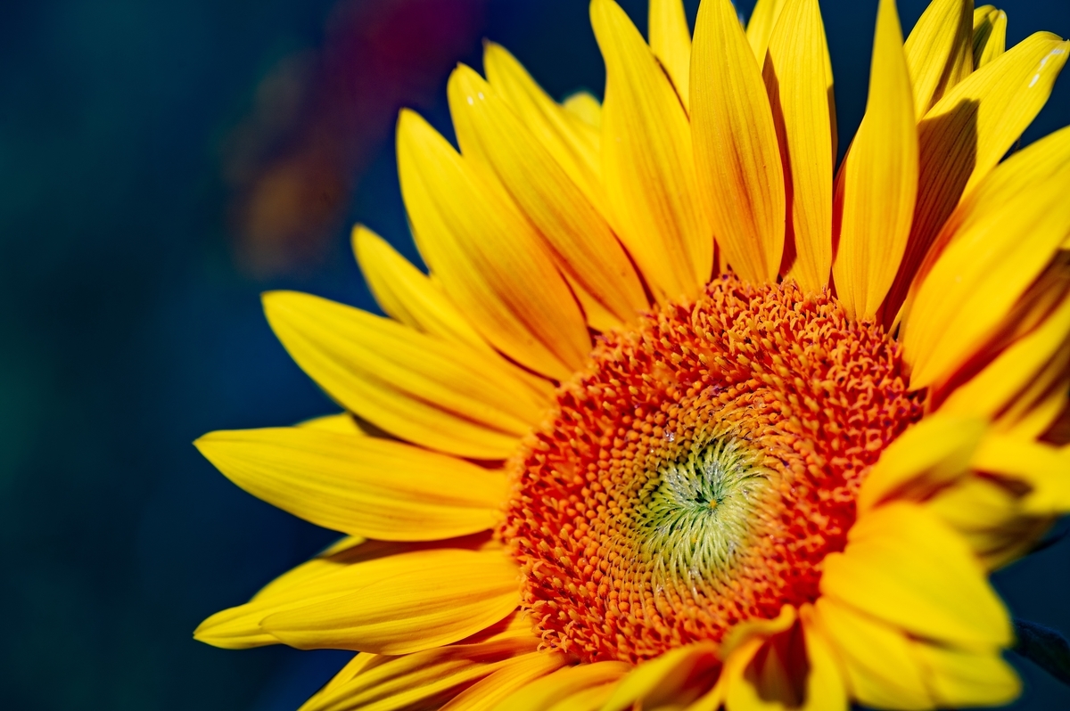 f:id:tatsumo77:20200922154521j:plain f:id:tatsumo77:20200922154521j:plain