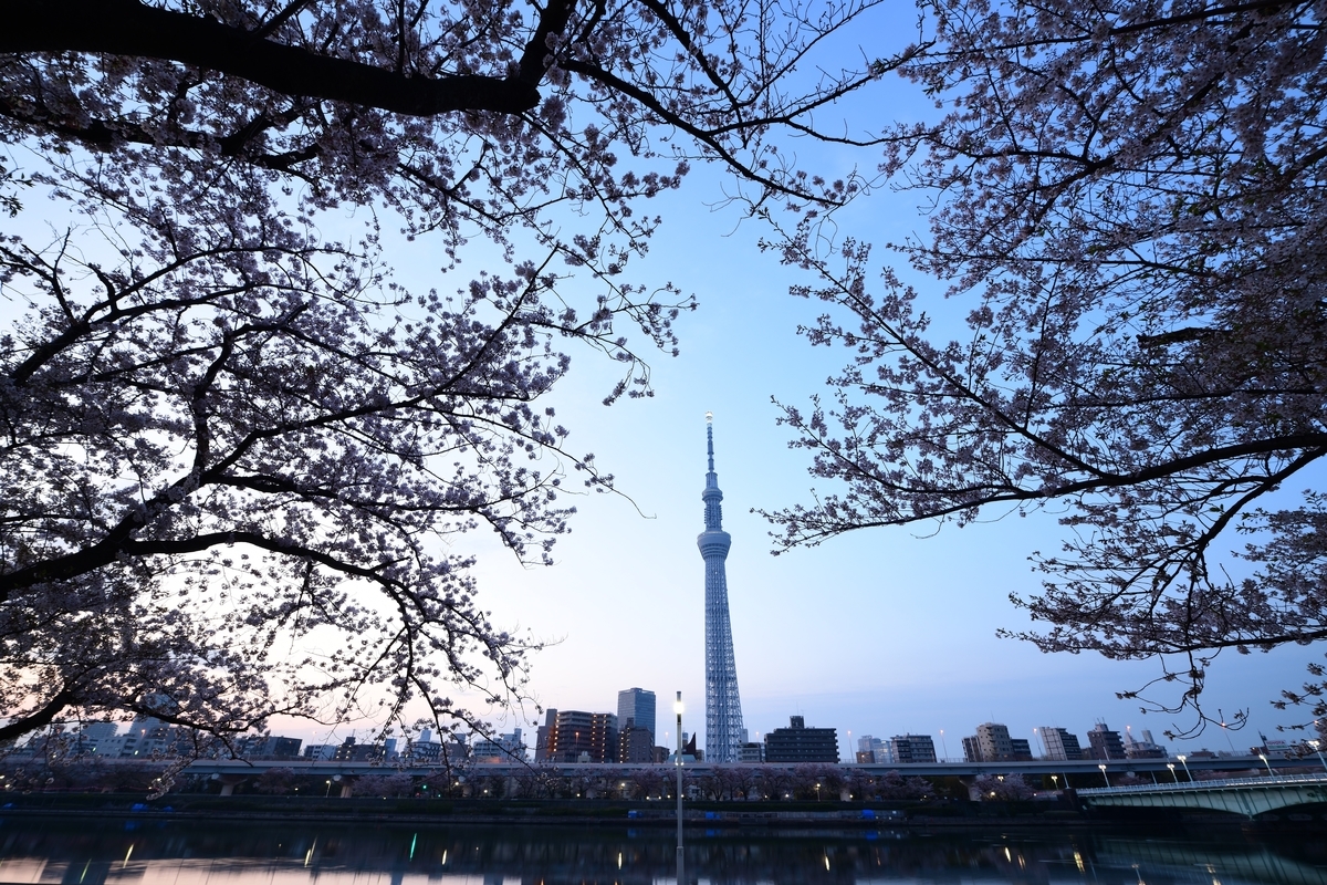 f:id:tatsumo77:20200925220809j:plain f:id:tatsumo77:20200925220809j:plain