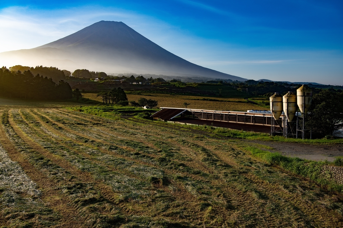 f:id:tatsumo77:20200925224411j:plain f:id:tatsumo77:20200925224411j:plain