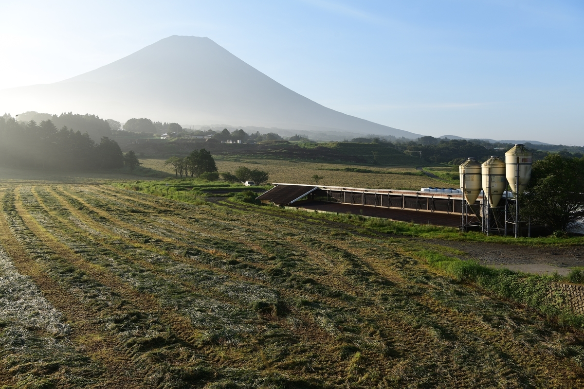 f:id:tatsumo77:20200925224648j:plain f:id:tatsumo77:20200925224648j:plain