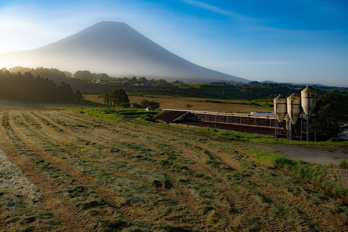 f:id:tatsumo77:20200925224806j:plain f:id:tatsumo77:20200925224806j:plain