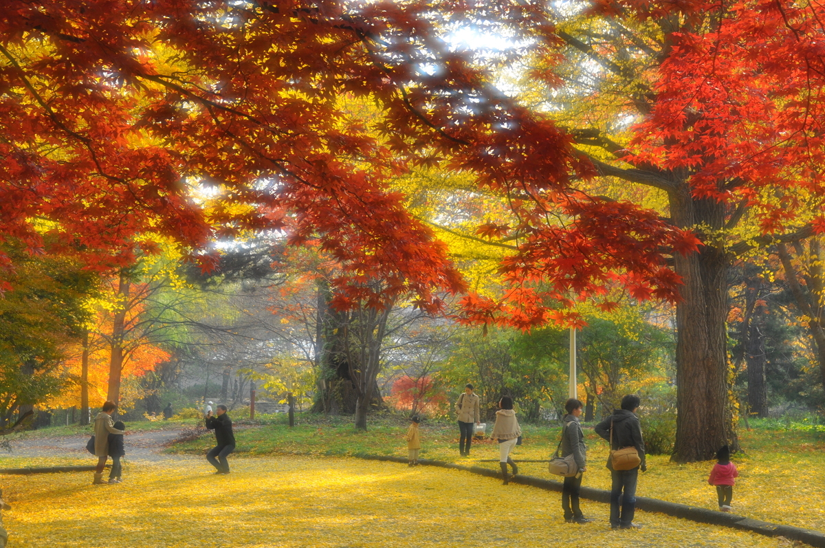 昔の作品を振り返る！】その④：初めての紅葉スナップ撮影