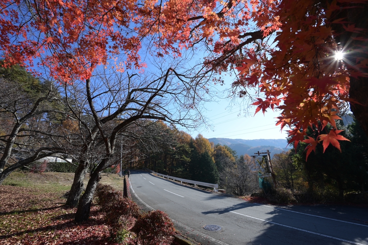 f:id:tatsumo77:20201130075242j:plain