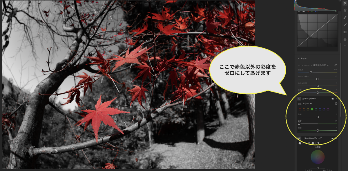 f:id:tatsumo77:20201130075943p:plain