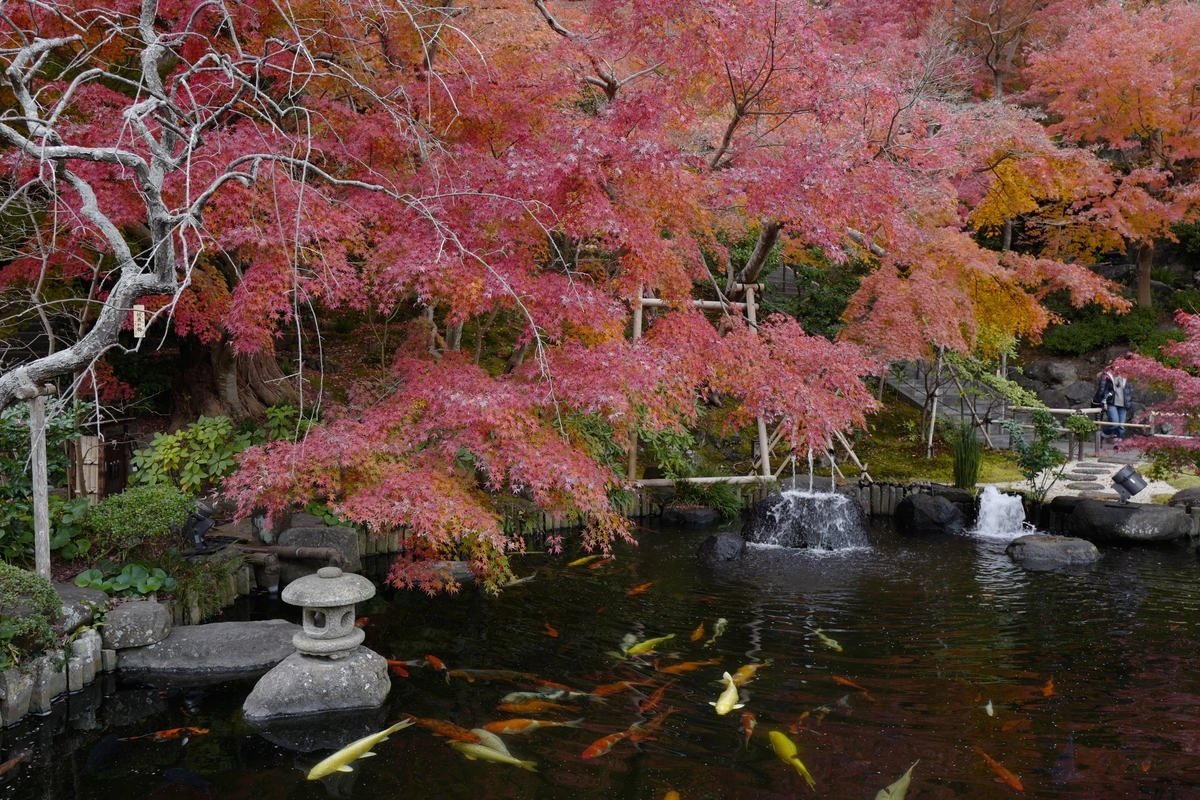 f:id:tatsumo77:20201215074217j:plain