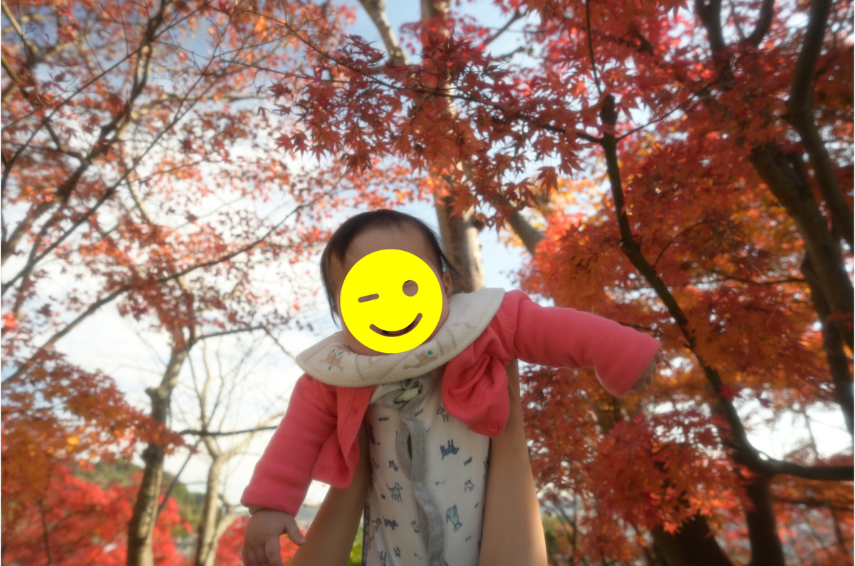 f:id:tatsumo77:20201215221302p:plain