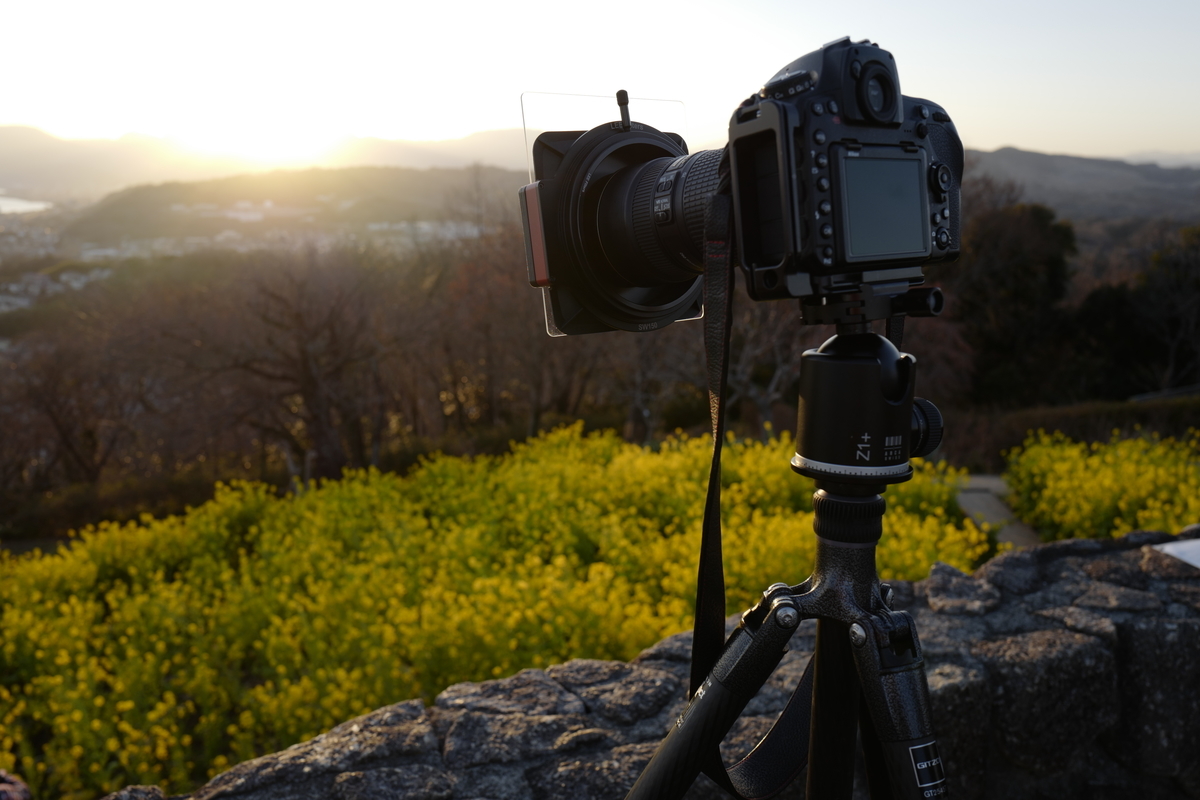 f:id:tatsumo77:20210222225050j:plain