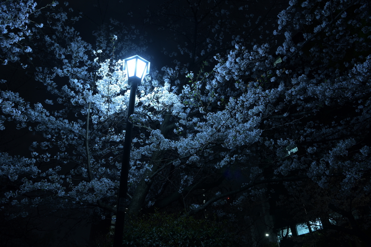 f:id:tatsumo77:20210331192608j:plain