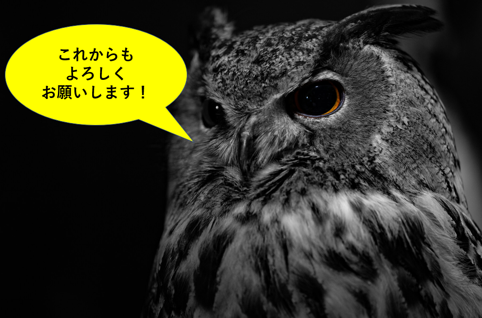 f:id:tatsumo77:20210508181709p:plain