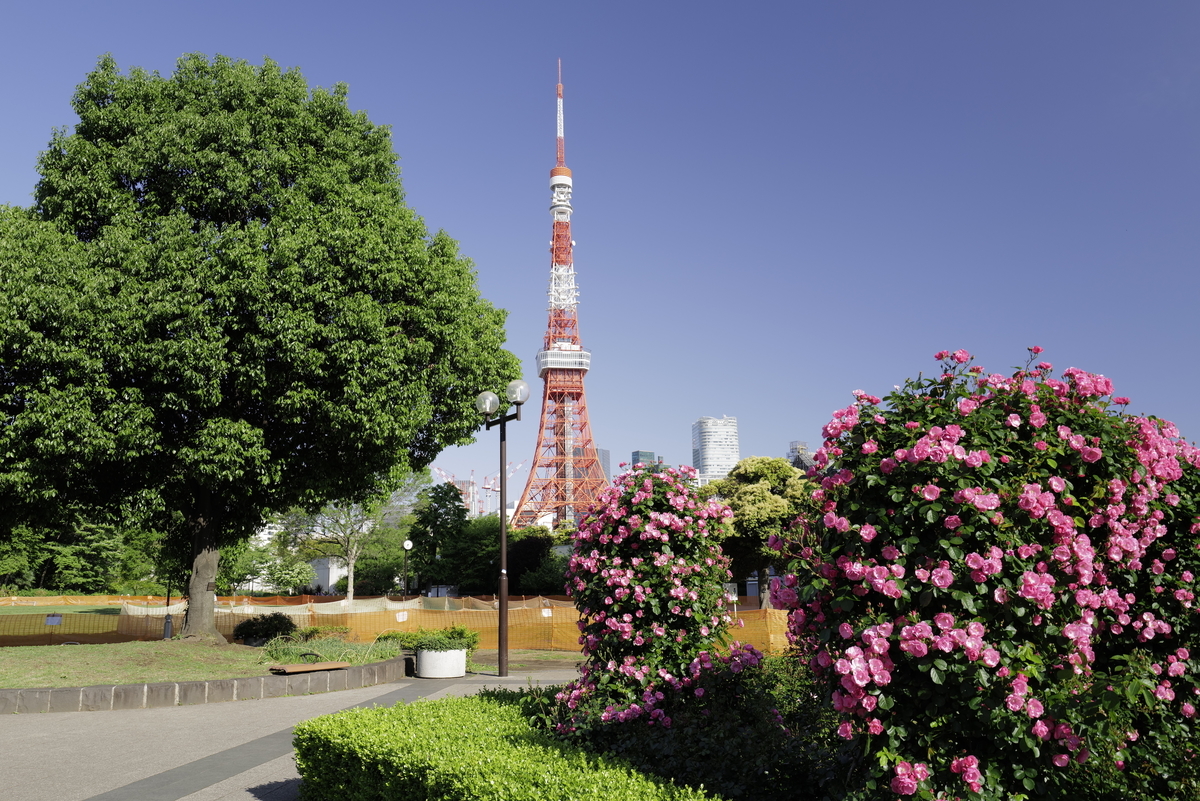 f:id:tatsumo77:20210516230043j:plain