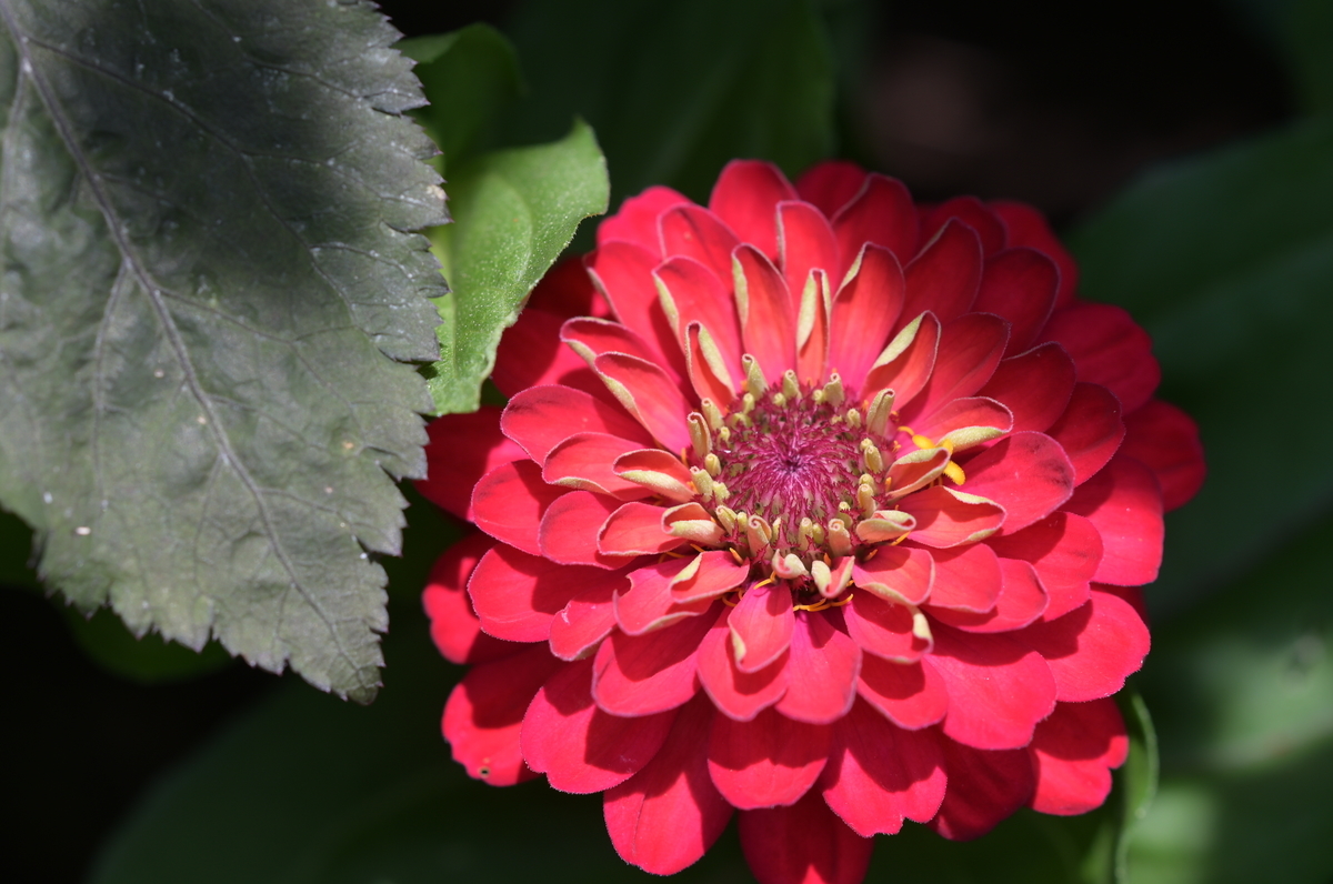 f:id:tatsumo77:20210625172550j:plain