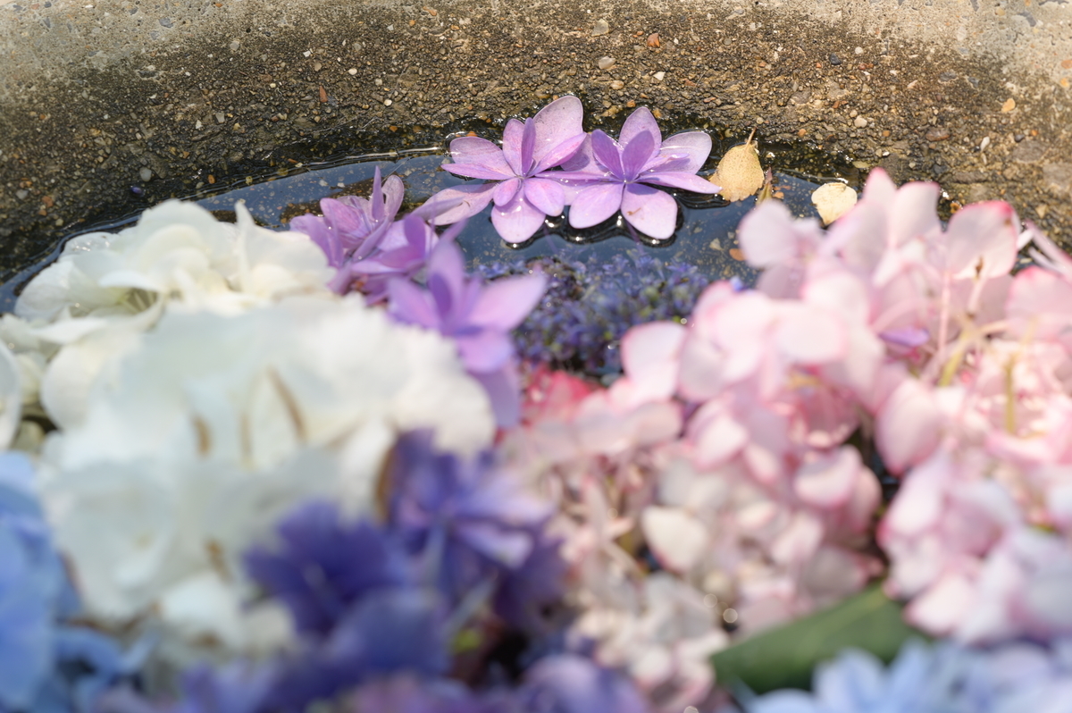 f:id:tatsumo77:20210625172706j:plain