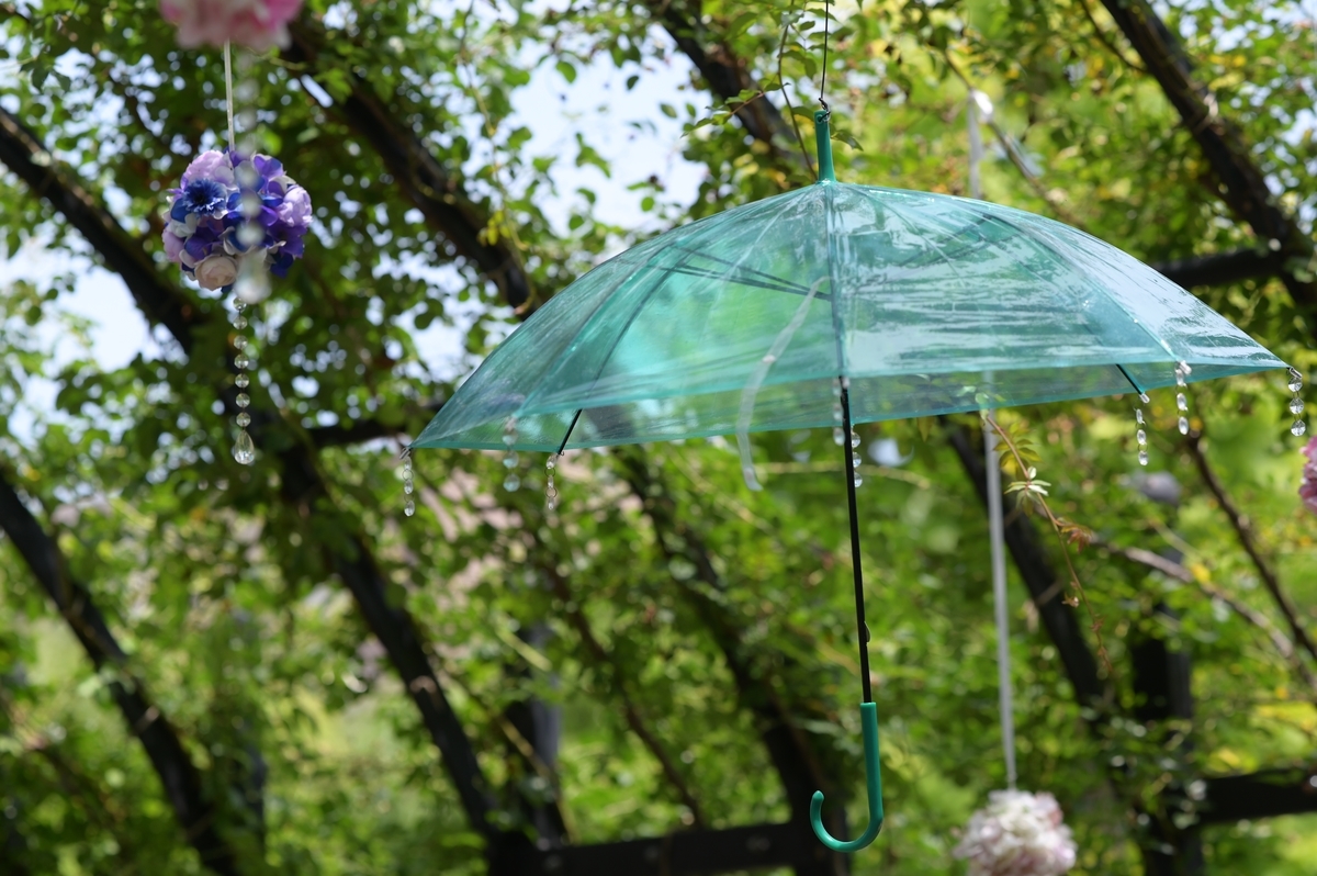 f:id:tatsumo77:20210625172853j:plain