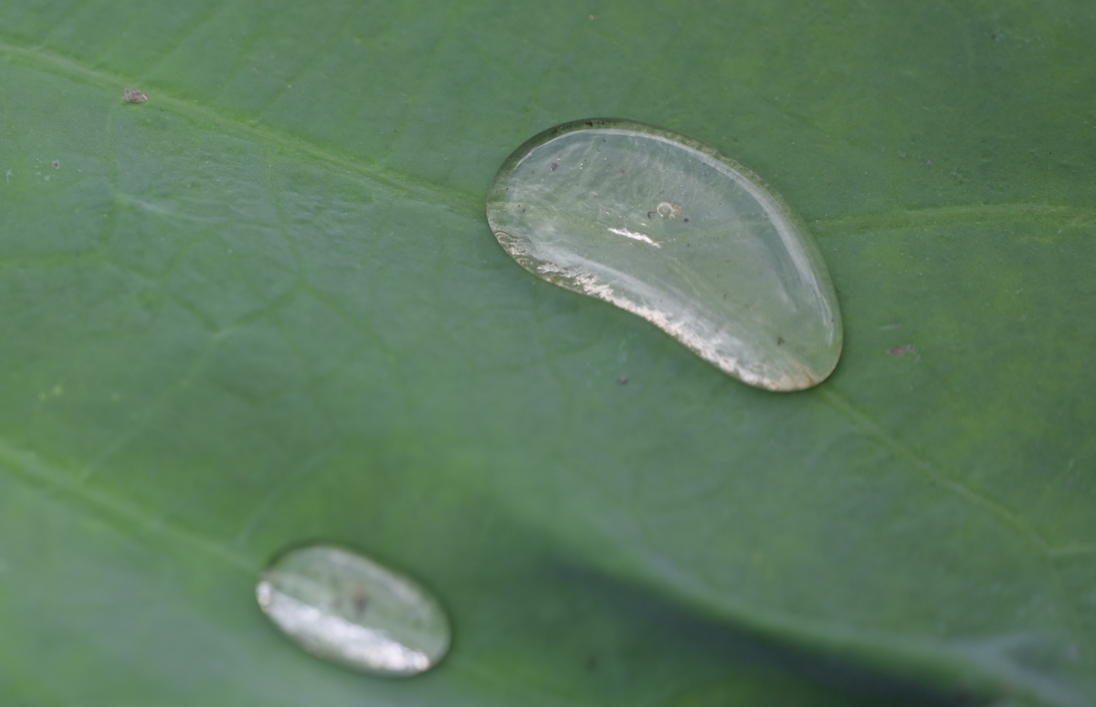 f:id:tatsumo77:20210726232040j:plain