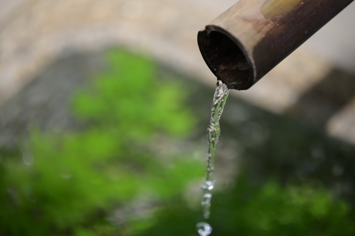 f:id:tatsumo77:20210726232340j:plain