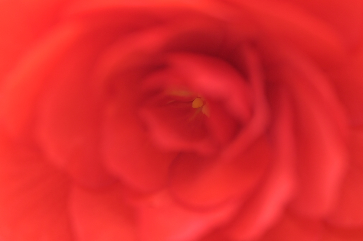 f:id:tatsumo77:20210727002314j:plain