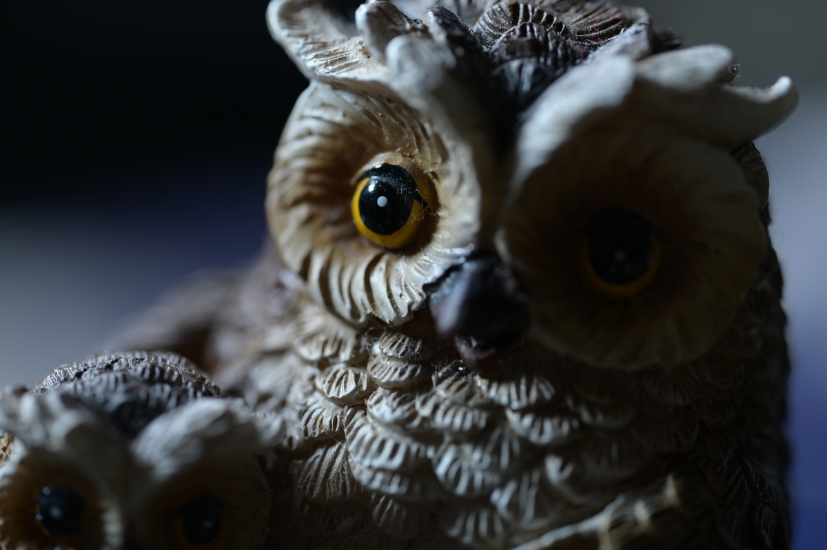 f:id:tatsumo77:20210727083043j:plain