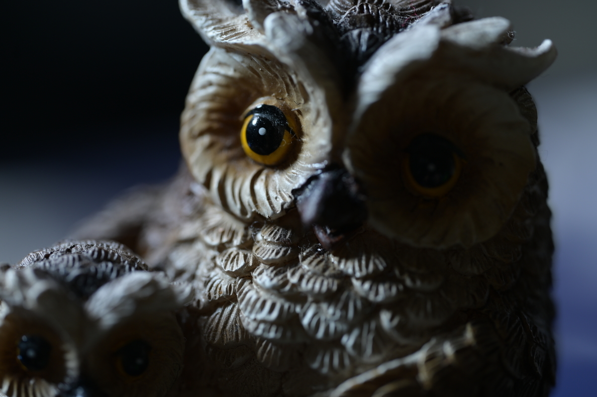 f:id:tatsumo77:20210727083125j:plain