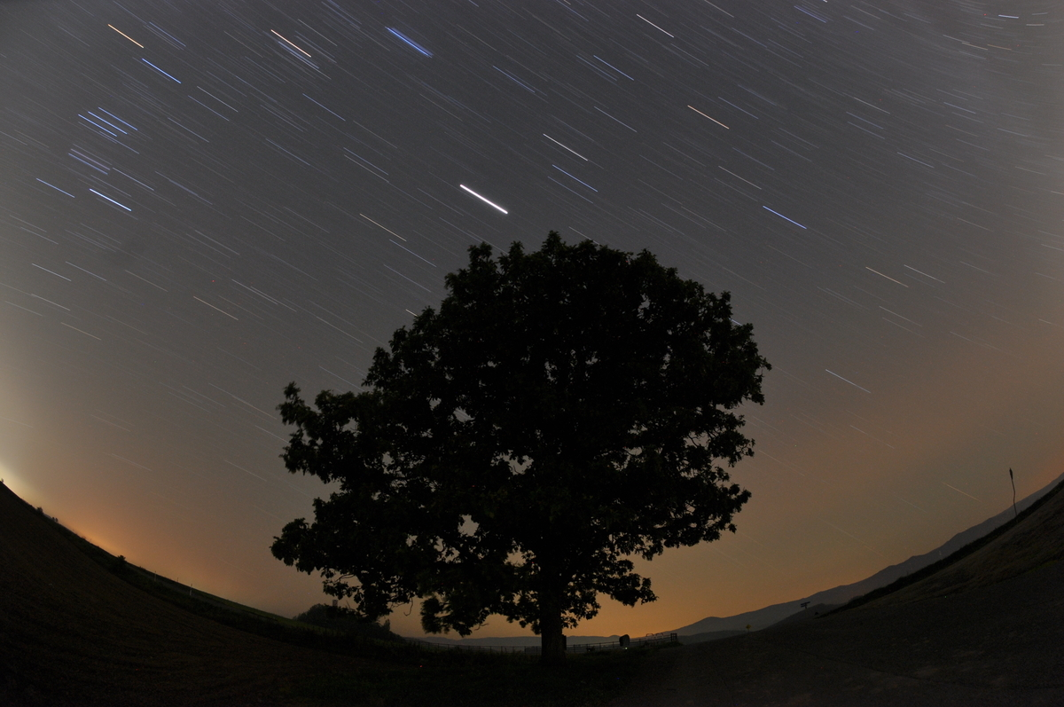 f:id:tatsumo77:20210908063258p:plain